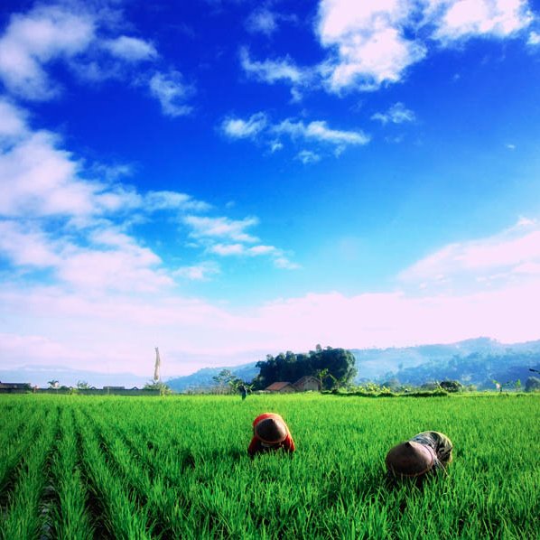 Tributaryteams's profile picture. Trend, news, and ideas!