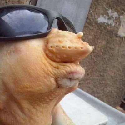 Apa yg berlaku mesti ada kepundekan disebaliknya