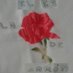 AMIGOS DE LA ROSA DE SARON (@rosadesaron150) Twitter profile photo AMIGOS DE LA ROSA DE SARON (@rosadesaron150) Twitter profile photo