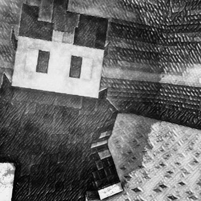 Owner of @SkyFlyHub_MCPE and a noob developer :D