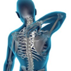 WestLondonChiro's profile picture. 