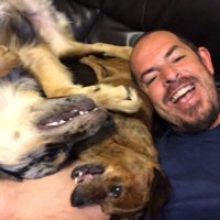 David Pedigo (@davidrpedigo) 's Twitter Profile