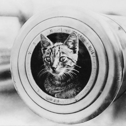 いさましいちびの鼠取り猫。どぞ宜しくお願いします。第一次大戦世代の戦闘艦やラヴクラフトさんの小説、クトゥルフ神話、ハードSF好き。戦艦少女R、ウマ娘を遊んでいたりします。三脚檣は良いぞ！派。23年型の CRF250L であちこちお出掛け遠乗りしがち。