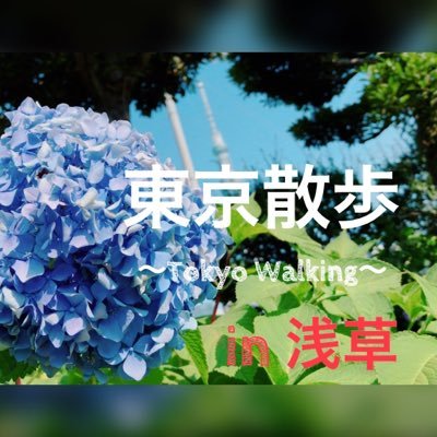 7月1日(土) 国際交流・東京散策ツアー 【東京散歩〜TokyoWalking〜 in浅草】を開催！詳細等は随時配信していきます、お気軽にDM下さい！主催→@axis_todai 〓お申し込みフォーム https://t.co/JA62gRYuQY