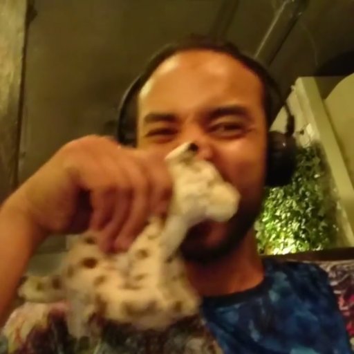 Joysephsings's profile picture. 😂😇😍😛😝😜🤓😚🐯🐯🐯🐯🦁🦁🦁🦁