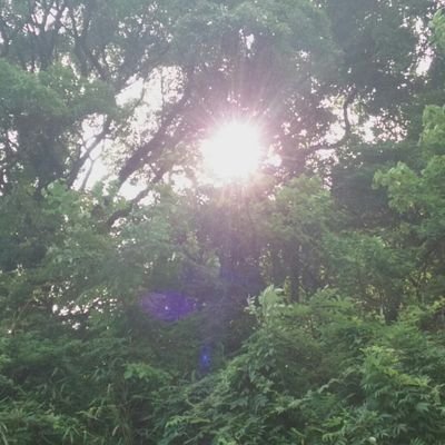 アニメ大好きラノベ大好きな男子高校生です 東京グール、ソードアートオンライン、進撃の巨人、マギ、この素晴らしい世界に祝福を!とかたくさんのアニメ好きだよ
