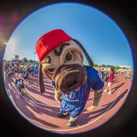 Zeke (@indyelevenzeke) 's Twitter Profile