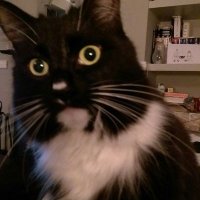 Andy Moorhouse (@moorhouse79) 's Twitter Profile Photo Andy Moorhouse (@moorhouse79) 's Twitter Profile Photo
