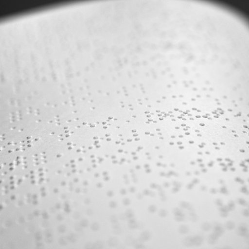 Cteb | Centre Transcription & d’Édition en Braille