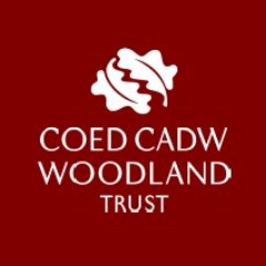 Croeso! We are @WoodlandTrust in Wales. 
We plant, we protect and we restore native woods and trees to combat climate change and to build a greener future.