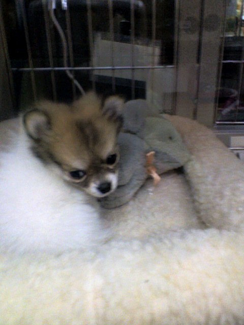 misokichiy's profile picture. アメブロで病院の話などを書いています。
現在は現場を離れ、いろいろな病院を徘徊し、小姑のような事をしております。
そして、北海道をこよなく愛する音楽好きな人間でもあります