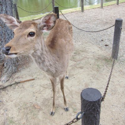 mmk22221's profile picture. ♡❤︎♡❤︎♡❤︎♡