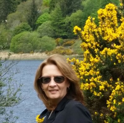 patm7299004's profile picture. 