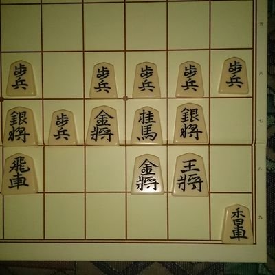 ginkanmuri_0202's profile picture. 美濃囲いは置いてきた。これからの闘いにはついてこれねぇからな……