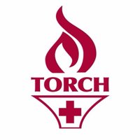 TORCH (@torchnet) 's Twitter Profile