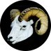 Keelayjams (@keelayjams) Twitter profile photo Keelayjams (@keelayjams) Twitter profile photo