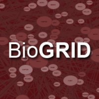 BioGRID (@biogrid) Twitter profile photo