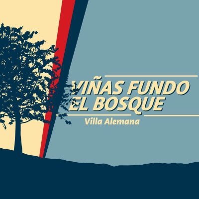 Junta De Vecinos Viña Fundo El Bosque, Villa Alemana. Síguenos en FanPage : https://t.co/e17UdfdGs9