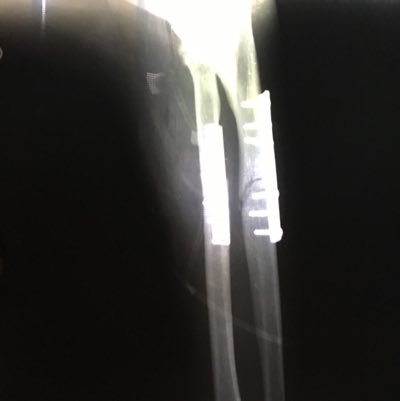 emanuelcarriong's profile picture. alergico a la disciplina