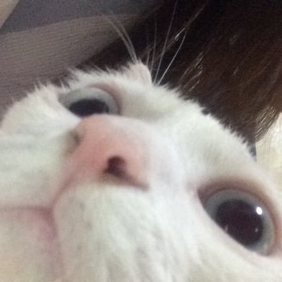 aarloveritz's profile picture. Follow me