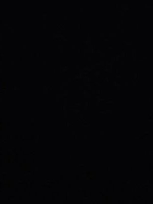 JoseRaheem's profile picture. Fort Lauderdale, Florida "GMFB😃"