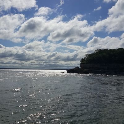 JudyLyn16867513's profile picture. 