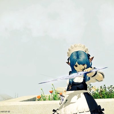 ＦＦ１４ 専用 アニマ 紅蓮スタートダッシュきれず。