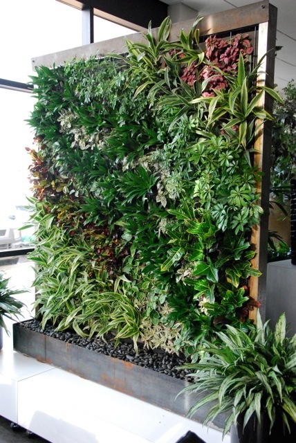 Living plant walls are project specific-Specializing in the artistry of vertical creations