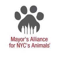 Mayor's Alliance for NYC's Animals(@MayorsAlliance) 's Twitter Profile Photo