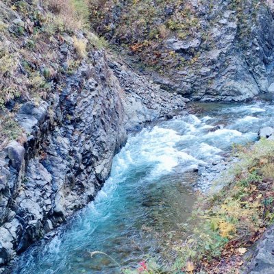 xxxxxvvva's profile picture. エッチな女子ヤりたい女子絡みましょ！ カカオ教えます！！DMほぼ返します！