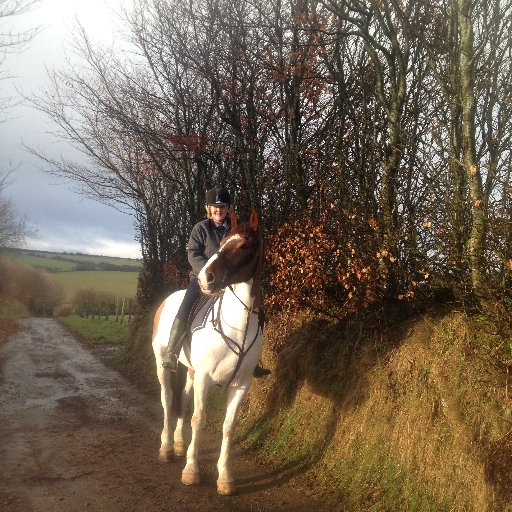 Farmer and freelance writer from Exmoor. Author of Katy's Ponies Series and The Horseshoe Trilogy (published by Orion) and Midnight on Lundy (Jane Badger Books)