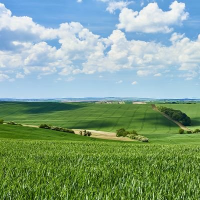 gbgurbuz's profile picture. 