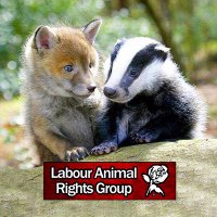 Labour Animal Rights Group(@LabourAnimalRG) 's Twitter Profile Photo