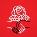 DSA 🌹 Profile picture