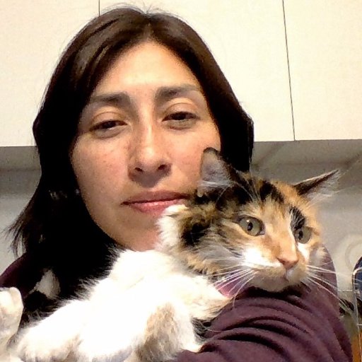 francini242's profile picture. 