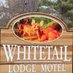 Whitetail Lodge (@whitetaillodge1) Twitter profile photo Whitetail Lodge (@whitetaillodge1) Twitter profile photo
