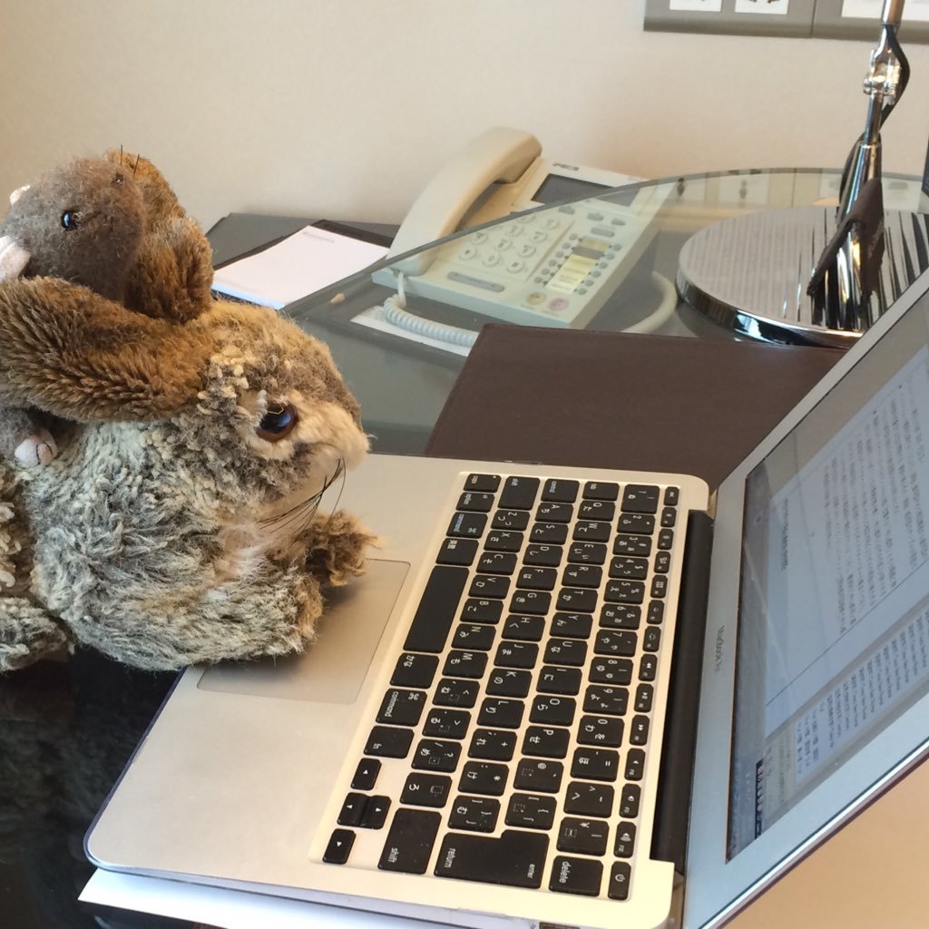 fuente0403's profile picture. サトシゴトは休業中。安田章大、佐野晶哉が気になるけど、猫を飼い始めてしまったので、今はお猫様に夢中。