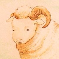 ひつじのあゆみ (@ewe_your_you) 's Twitter Profile Photo ひつじのあゆみ (@ewe_your_you) 's Twitter Profile Photo