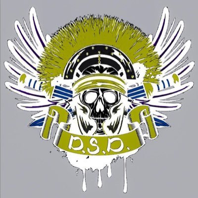 DarkSide Defense Profile