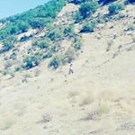 mustafa güldürdak (@pointmustafa) 's Twitter Profile