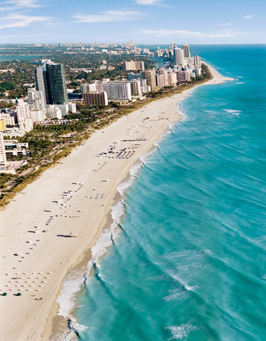 CProfitSFL's profile picture. 