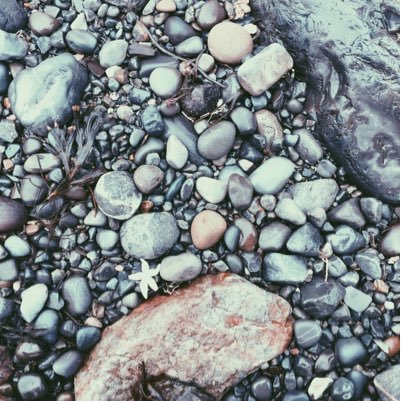 megan_lapierre's profile picture. 