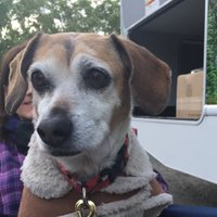 Dan Goldberg (@goldyhome) 's Twitter Profile