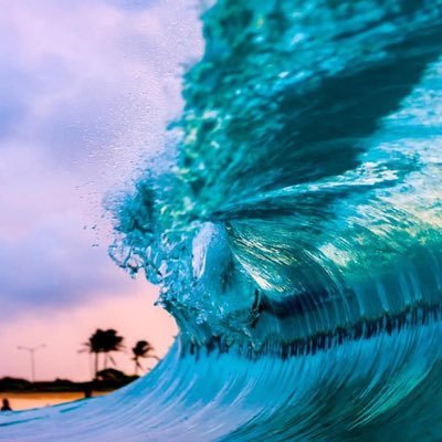 mintysea8's profile picture. 🐬 Find me where the sand meets the ocean 🐬