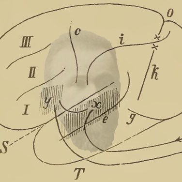 Starlingcurves's profile picture. we're doomed