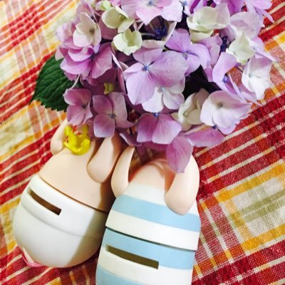 苔さんのプロフィール画像