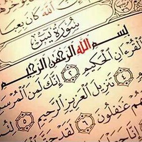 #Election2016 الأبوة والأمومة الأخبار الأدب الأعمال المنزلية والبيت الألعاب البرامج التلفزيونية الترفيه التصميم والعمارة التصوير الجمعية الوطنية لسباق السيارا