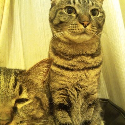 simanb's profile picture. 