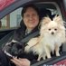 John B. 10987 (@loons1) Twitter profile photo John B. 10987 (@loons1) Twitter profile photo