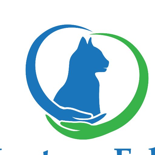 Health https://t.co/56v0yC9M2i ~ The Human/Cat Bond : : DrSid Gustafson~ Veterinary Behavior @vetster Request Dr Gustafson